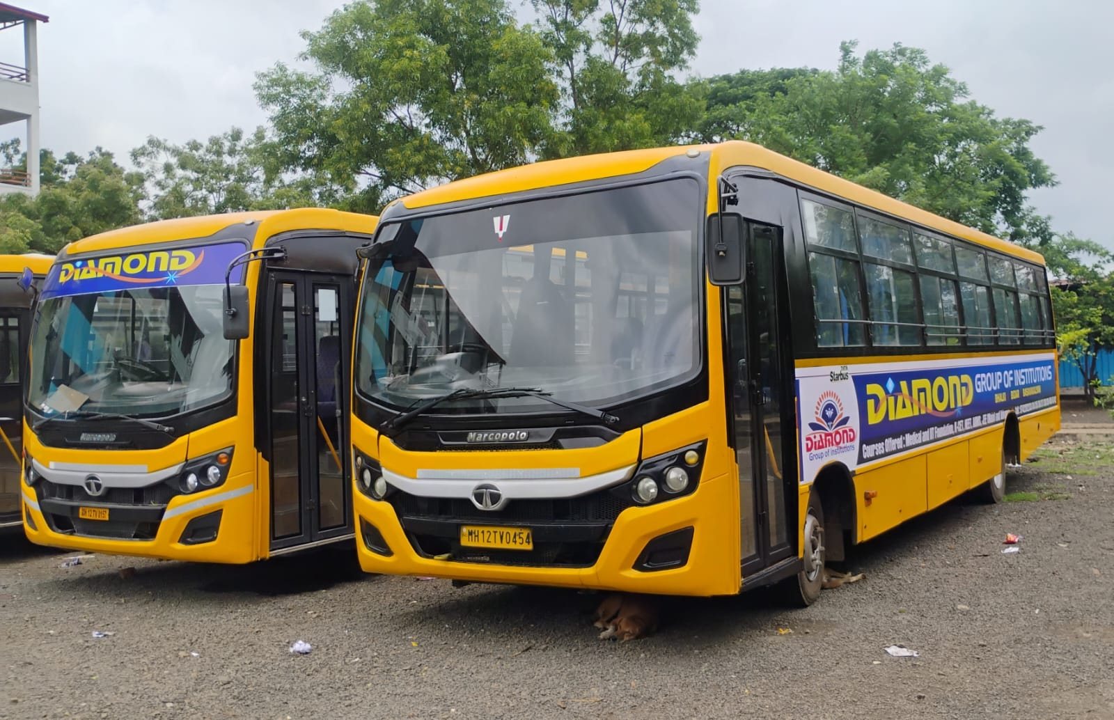 New-generation Diamond coaches parked on campus after the evening drop