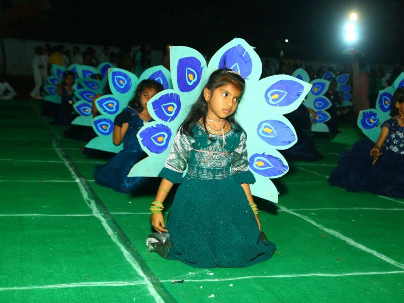 Peacock Dance — Cultural Programme